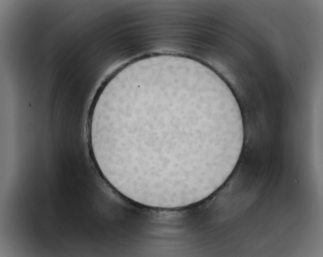 X0000088210848200705221742