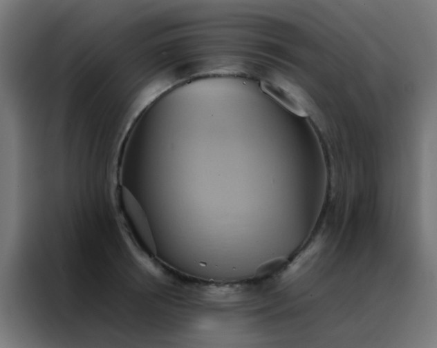 X0000088210850200705221742