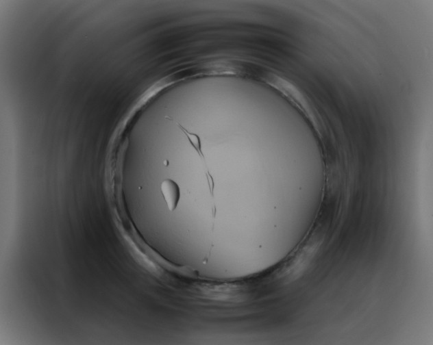 X0000088210851200705221742