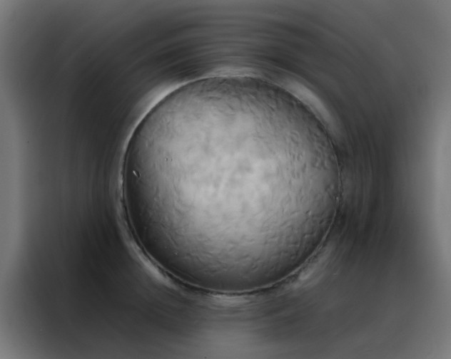 X0000088210852200705221742