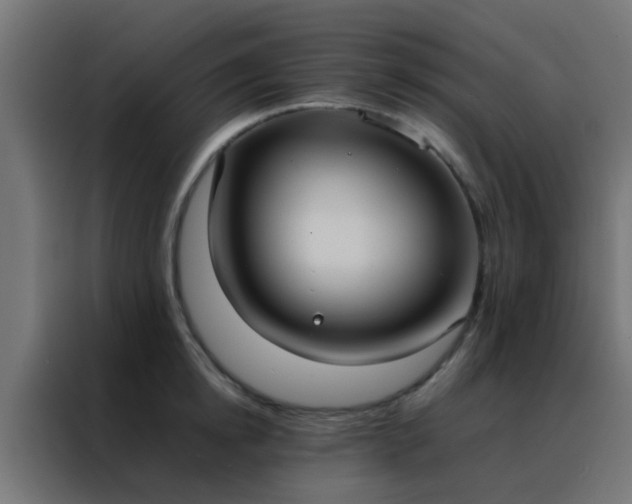 X0000088210854200705221742