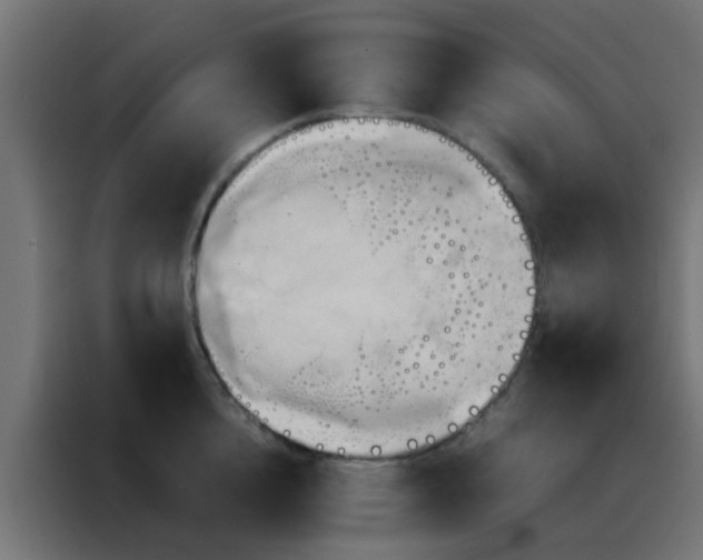 X0000088210856200705221742
