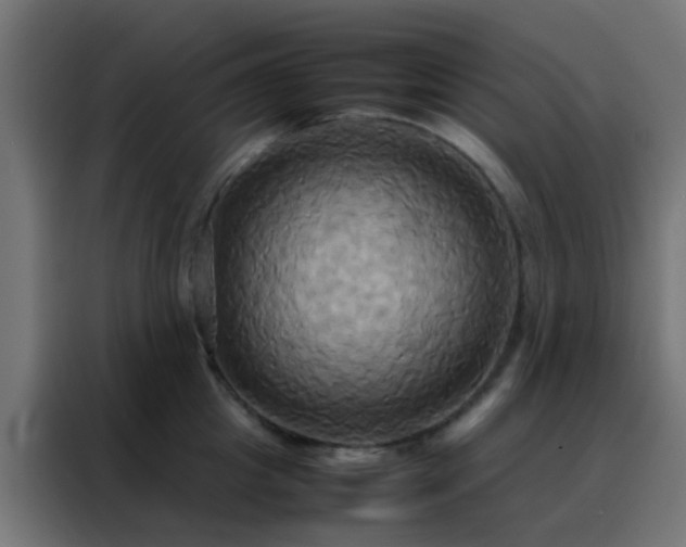 X0000088210857200705221742