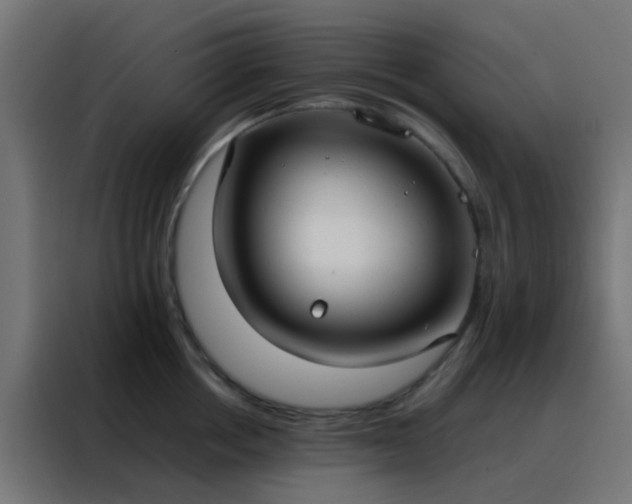 X0000088210858200705221742