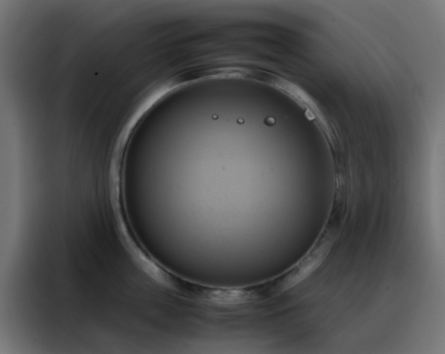 X0000088210859200705221742