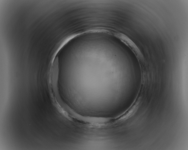 X0000088210860200705221742