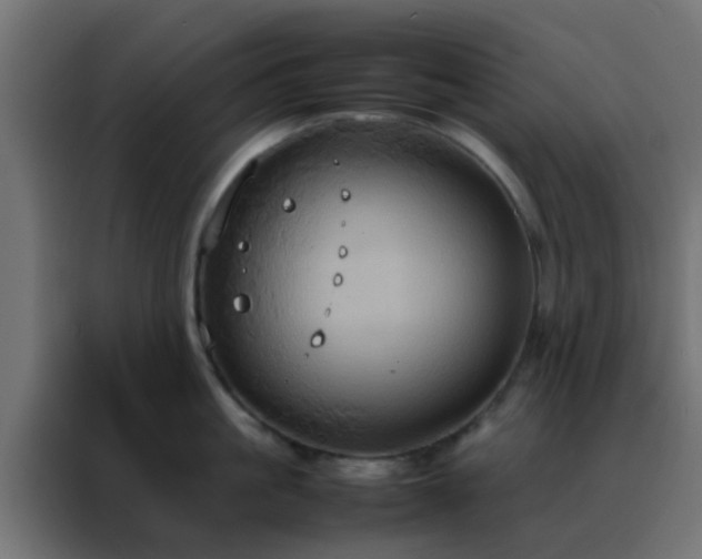 X0000088210861200705221742
