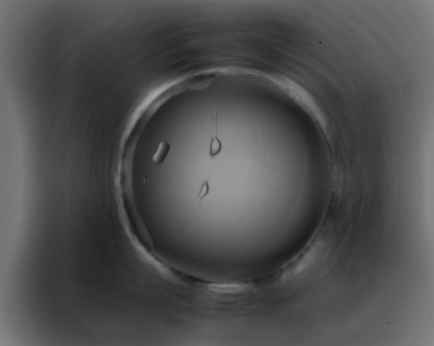X0000088210863200705221742