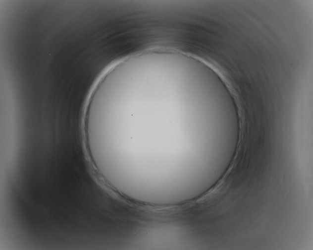 X0000088210864200705221742