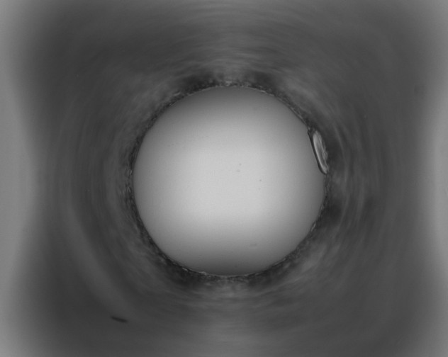 X0000088210865200705221741