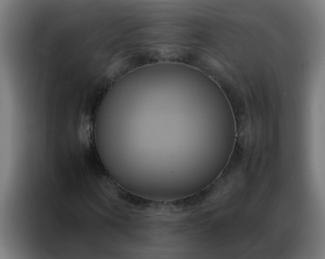 X0000088210866200705221741