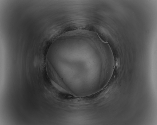 X0000088210867200705221741