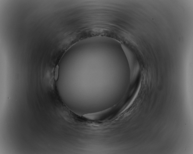 X0000088210868200705221741