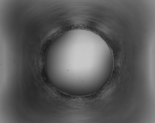 X0000088210869200705221741