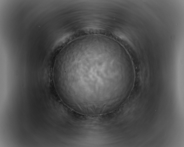 X0000088210870200705221741