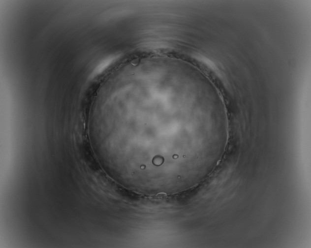 X0000088210871200705221741