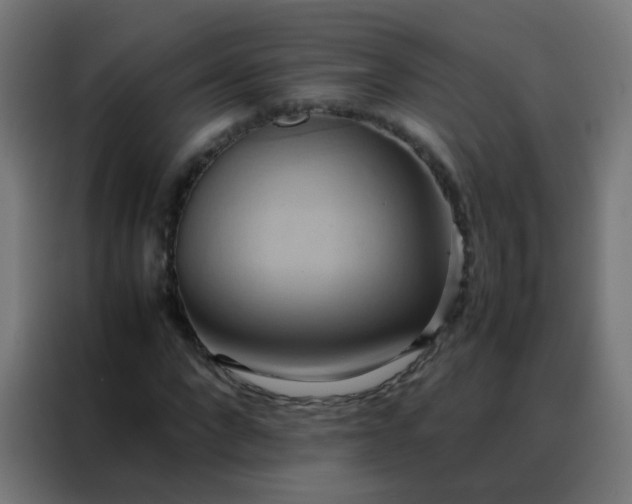 X0000088210872200705221741