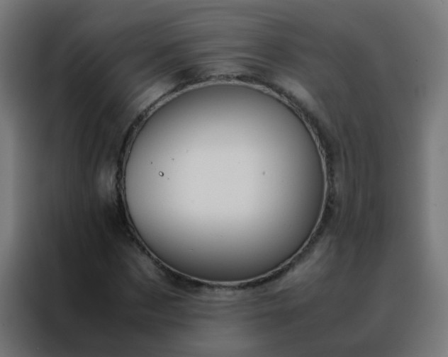 X0000088210873200705221741