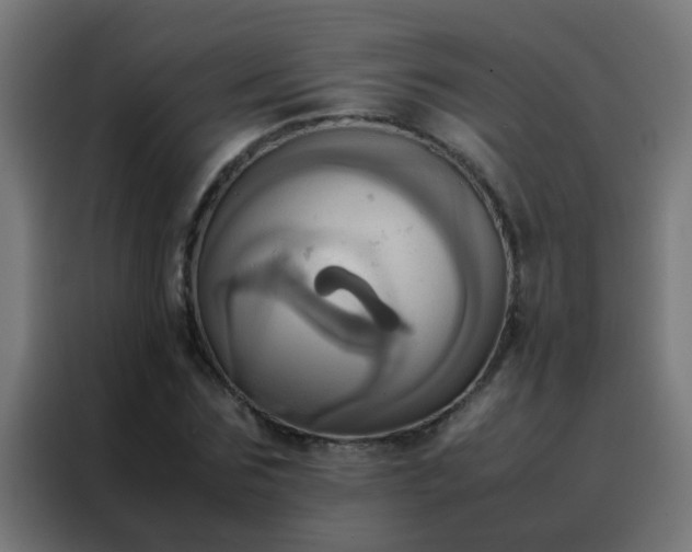 X0000088210875200705221741