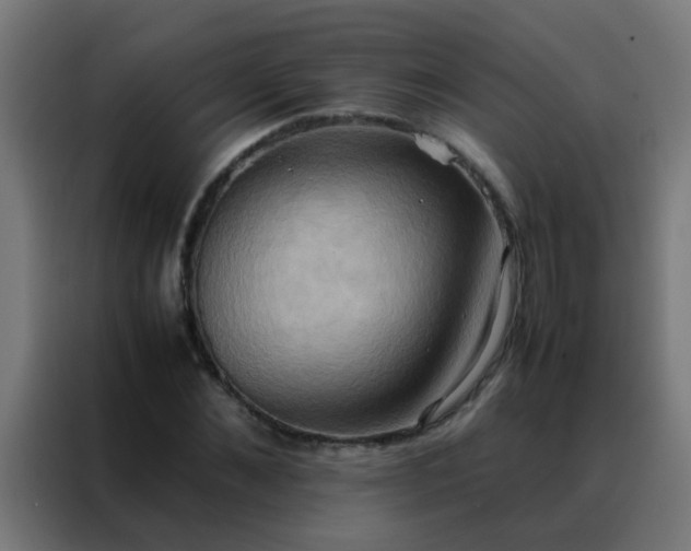 X0000088210876200705221741