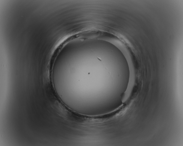 X0000088210877200705221741