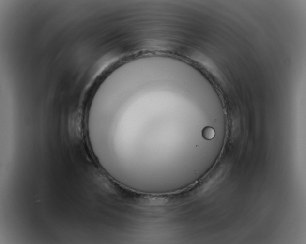 X0000088210878200705221741