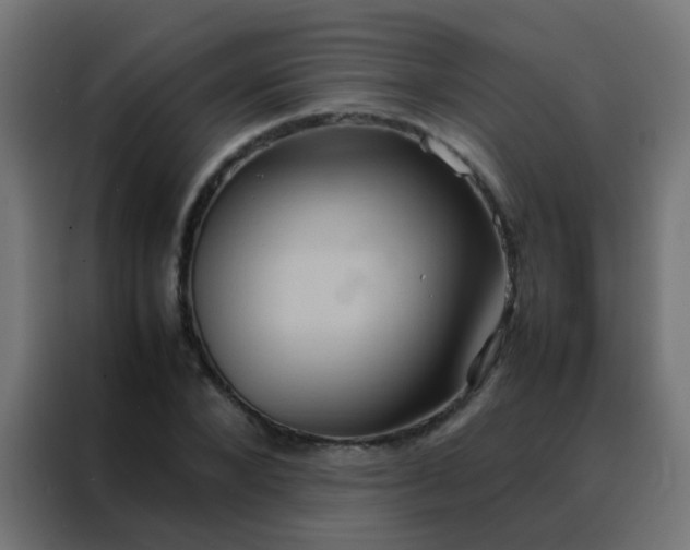 X0000088210880200705221741