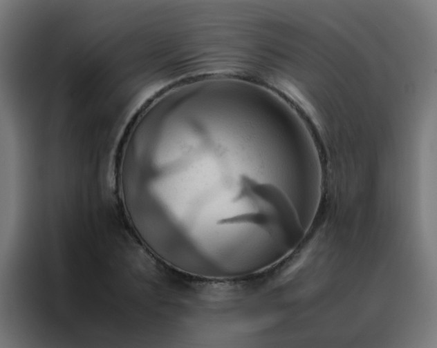 X0000088210883200705221741