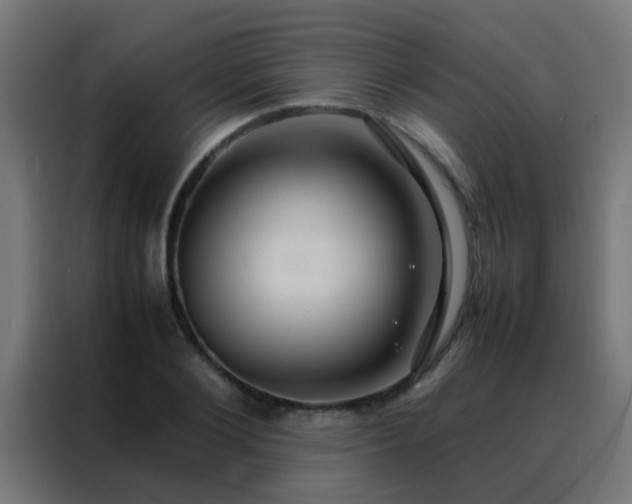X0000088210884200705221741