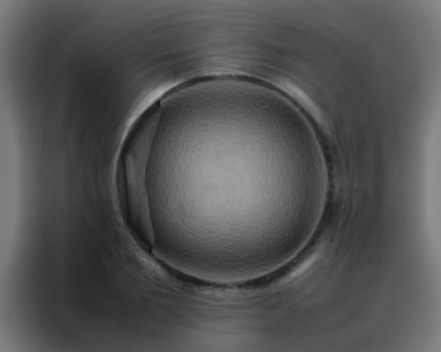 X0000088210885200705221741