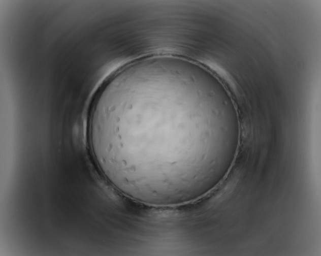 X0000088210886200705221741