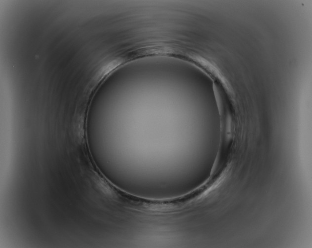 X0000088210889200705221741
