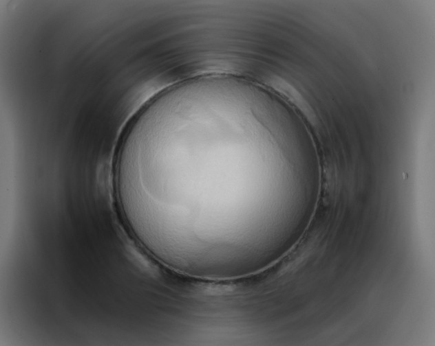 X0000088210890200705221741