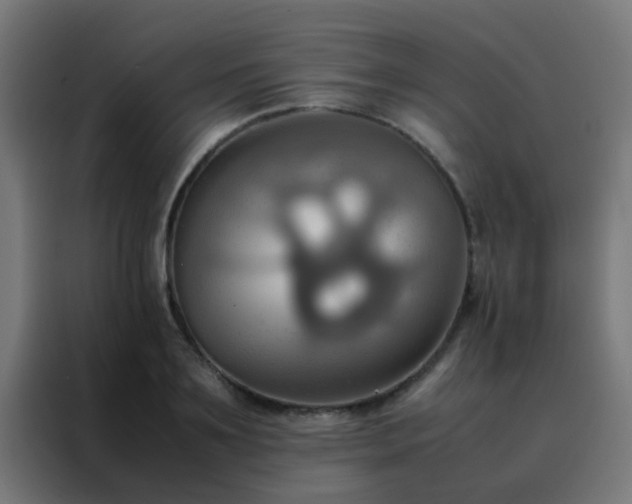X0000088210891200705221741