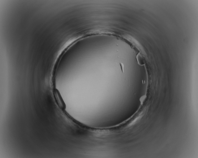 X0000088210893200705221741
