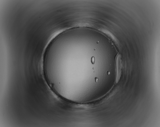 X0000088210894200705221741