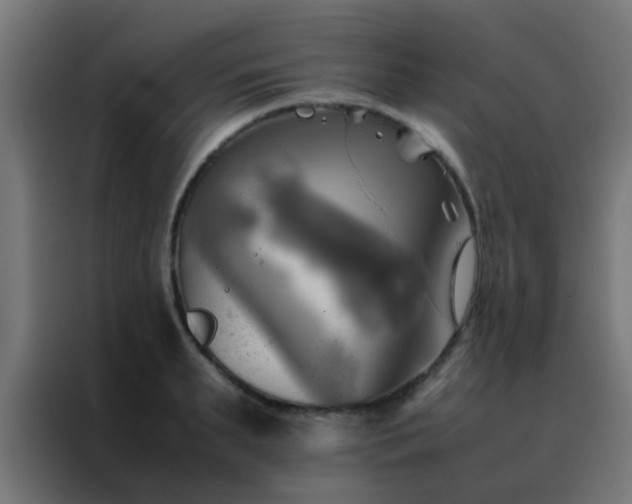 X0000088210895200705221741