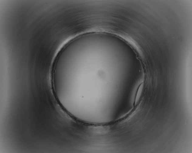 X0000088210896200705221741