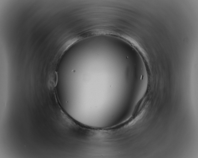 X0000088210897200705221741
