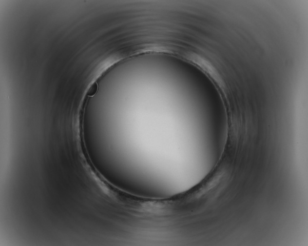 X0000088210898200705221741