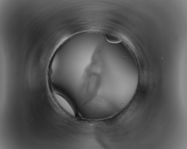 X0000088210899200705221741