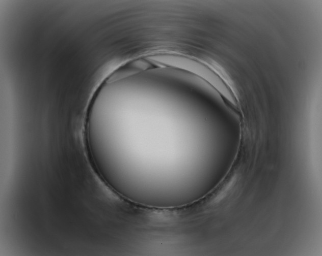 X0000088210901200705221741