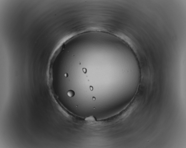 X0000088210902200705221741