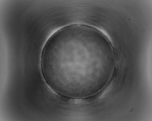 X0000088210903200705221741