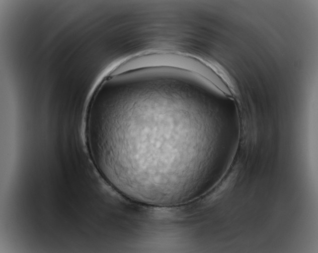 X0000088210904200705221741