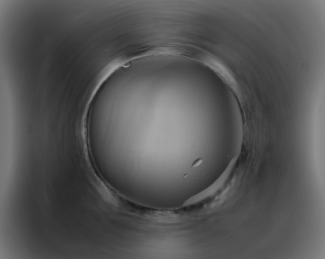 X0000088210907200705221741