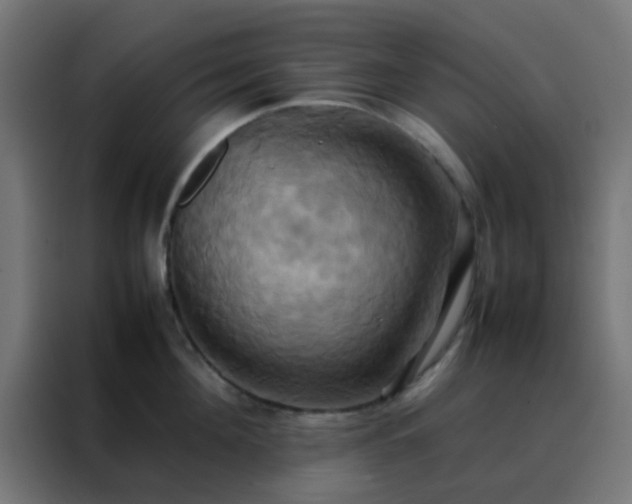 X0000088210908200705221741