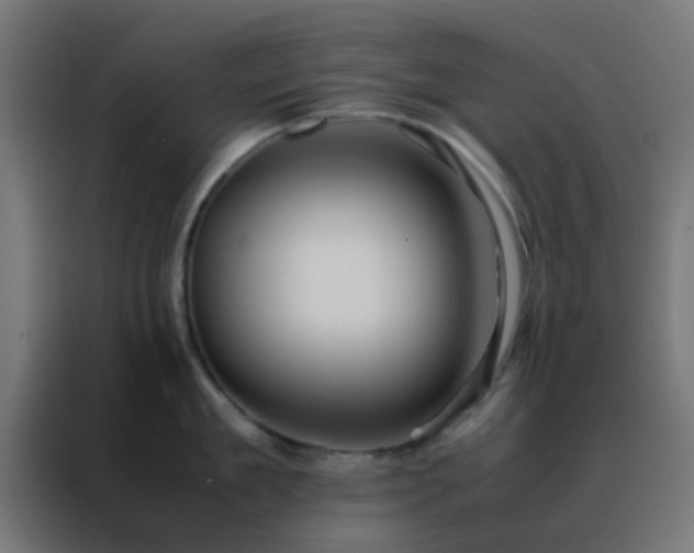 X0000088210909200705221741