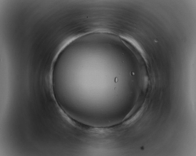 X0000088210910200705221741