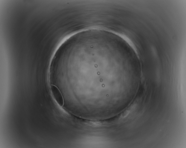 X0000088210911200705221741